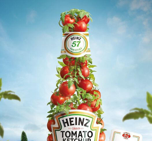 Tomato